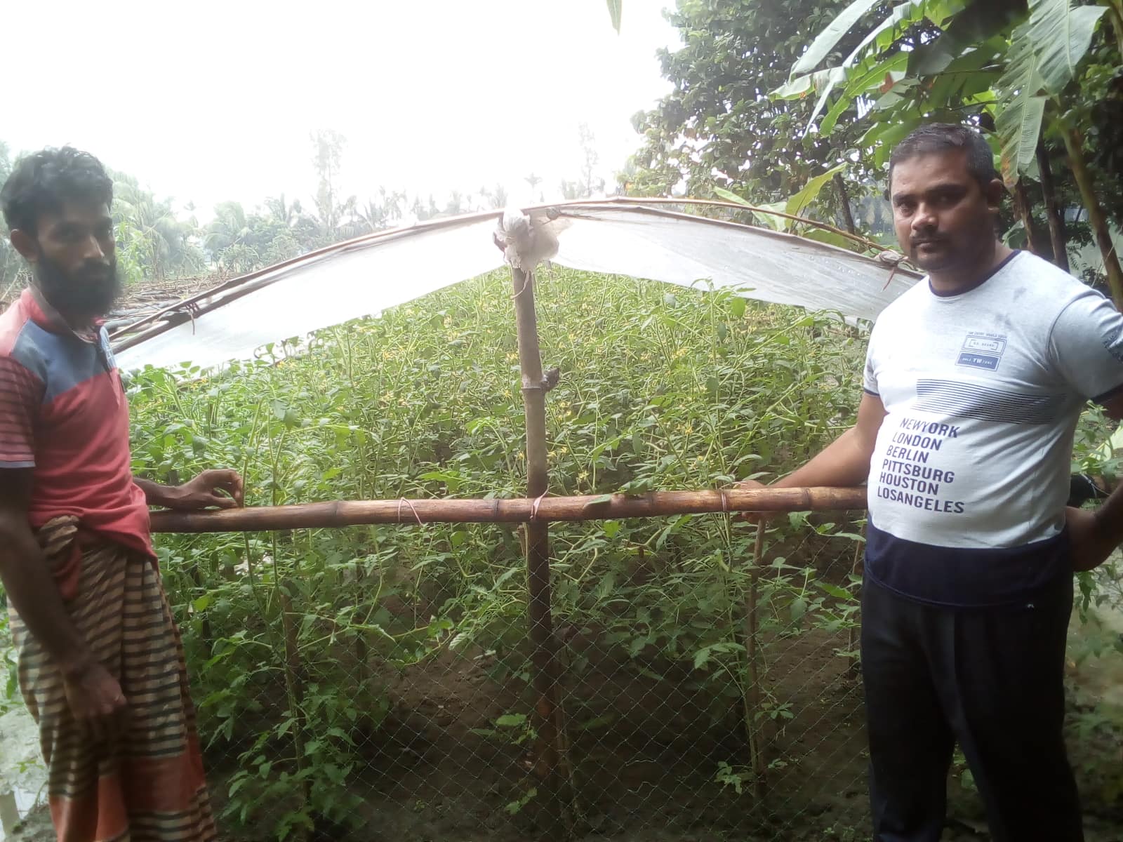 ই-সেবা কেন্দ্র, জেলা প্রশাসন