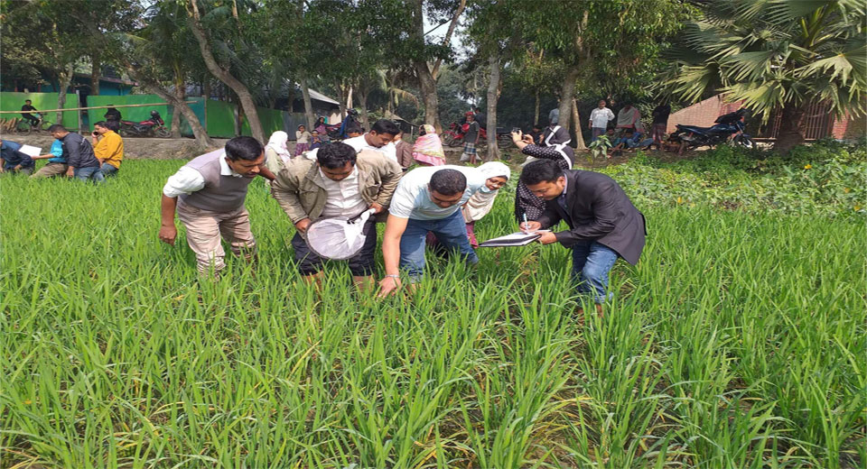 অতন্দ্র জরিপ কর্মসূচি