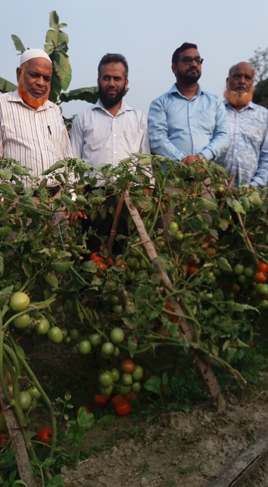 স্মলহোল্ডার এগ্রিকালচারাল কম্পিটিটিভনেস প্রজেক্ট (এসএসিপি)” (চাটখিল উপজেলা) মাঠ দিবস 