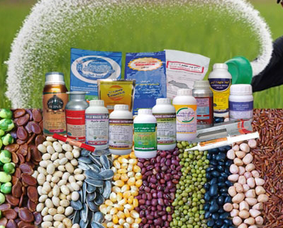 সার/বীজ/বালাইনাশক/নার্সারি