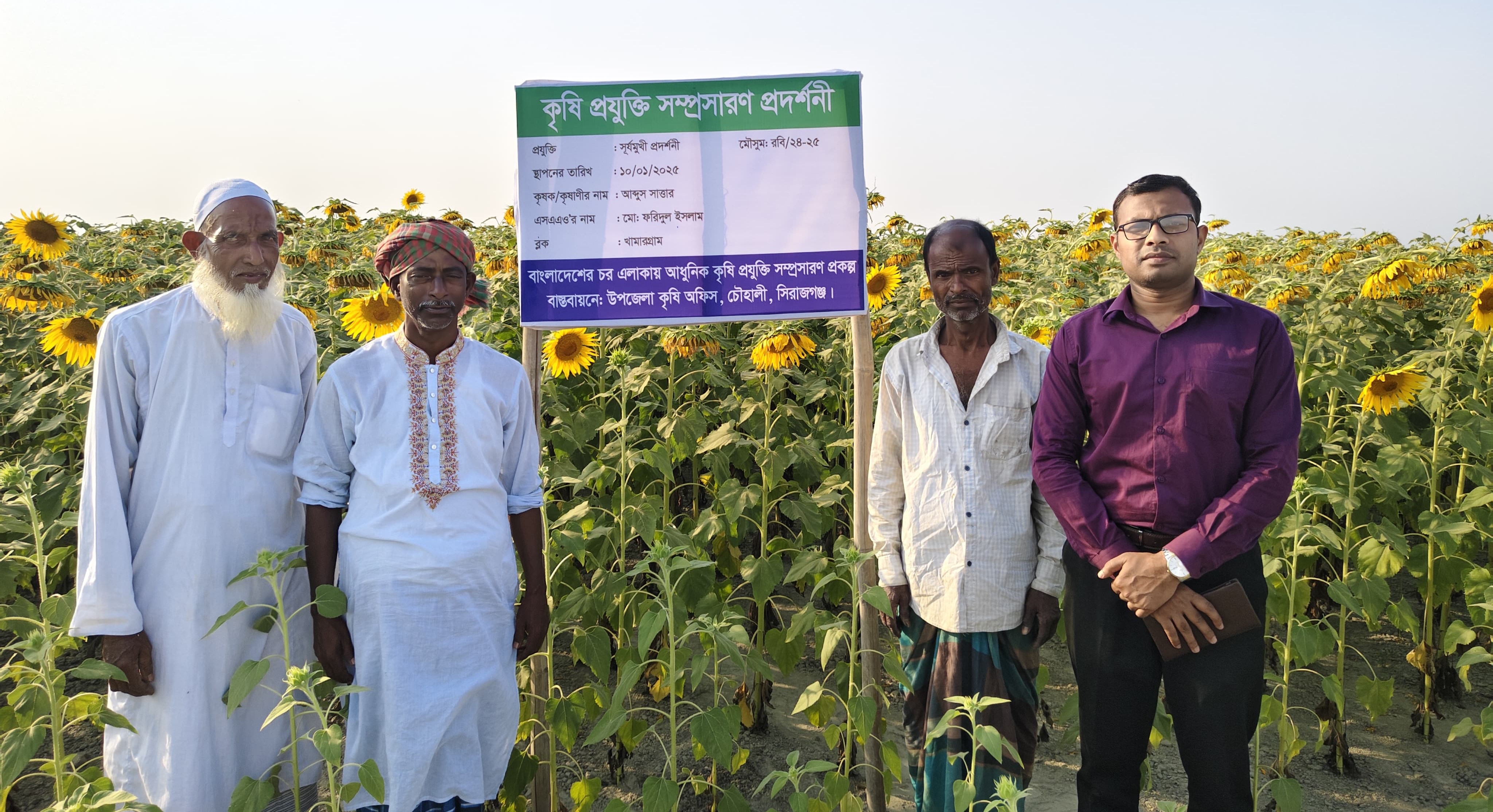 সূর্যমুখী প্রদর্শনী