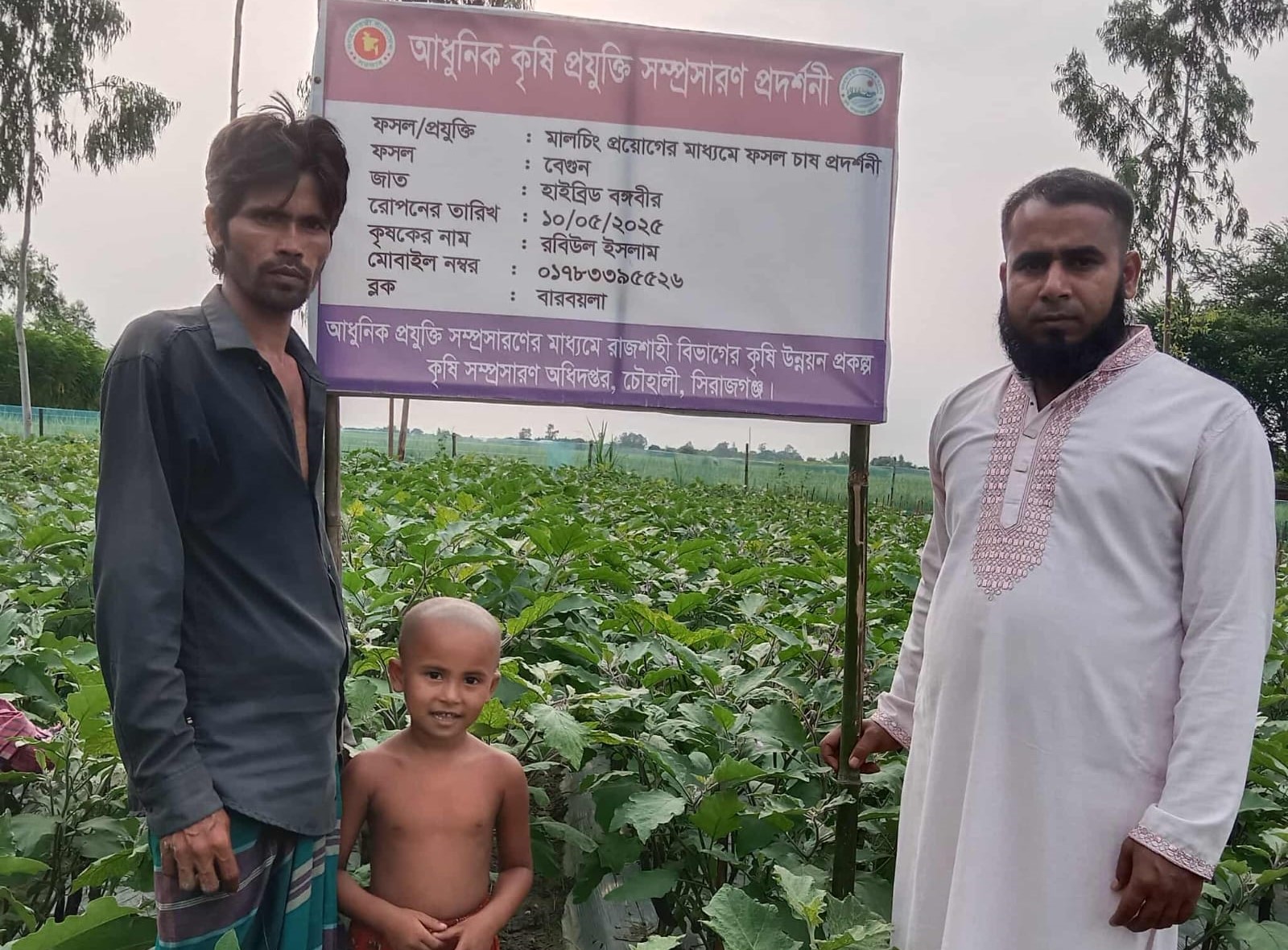 বেগুন প্রদর্শনী