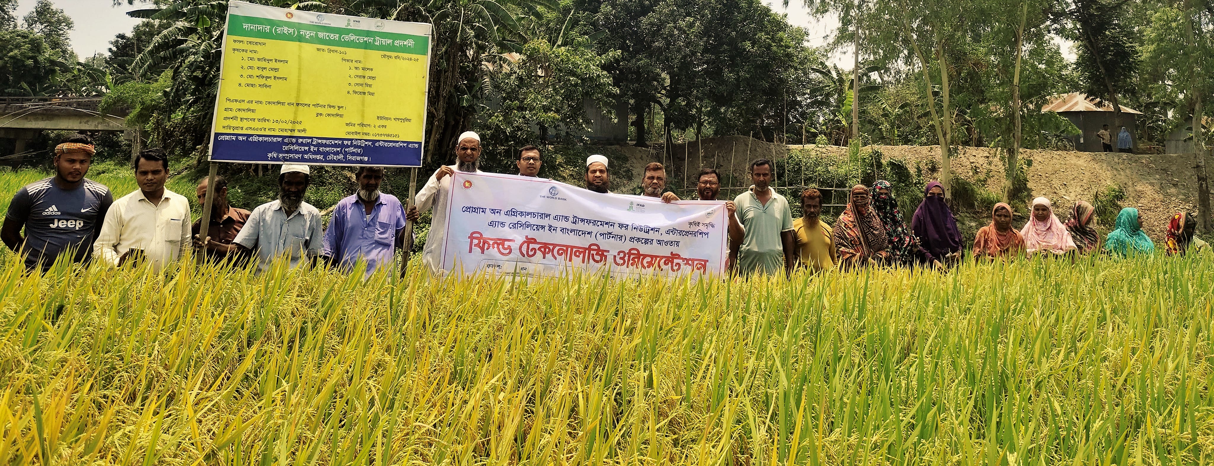 পার্টনার-প্রকল্পের ব্রি ধান-১০১ এর ফিল্ড টেকনোলজি ওরিয়েন্টেশন