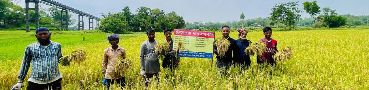 বোরো ধান প্রদর্শনী