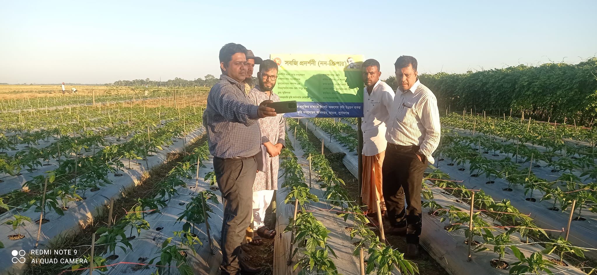 আমন ধানের নমুনা শস্য কর্তন