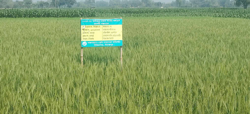 প্রদর্শনী