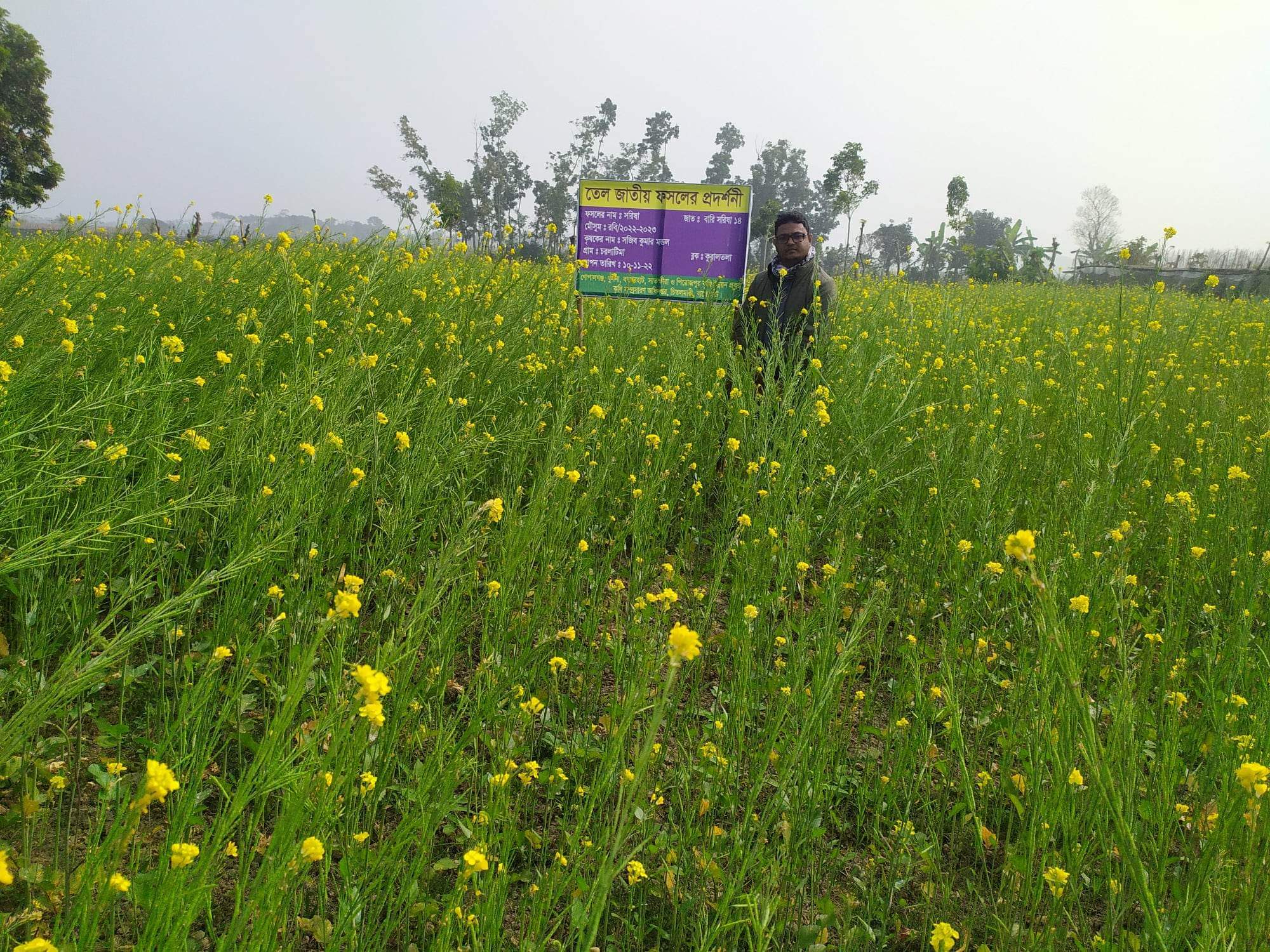 Service Process Simplification