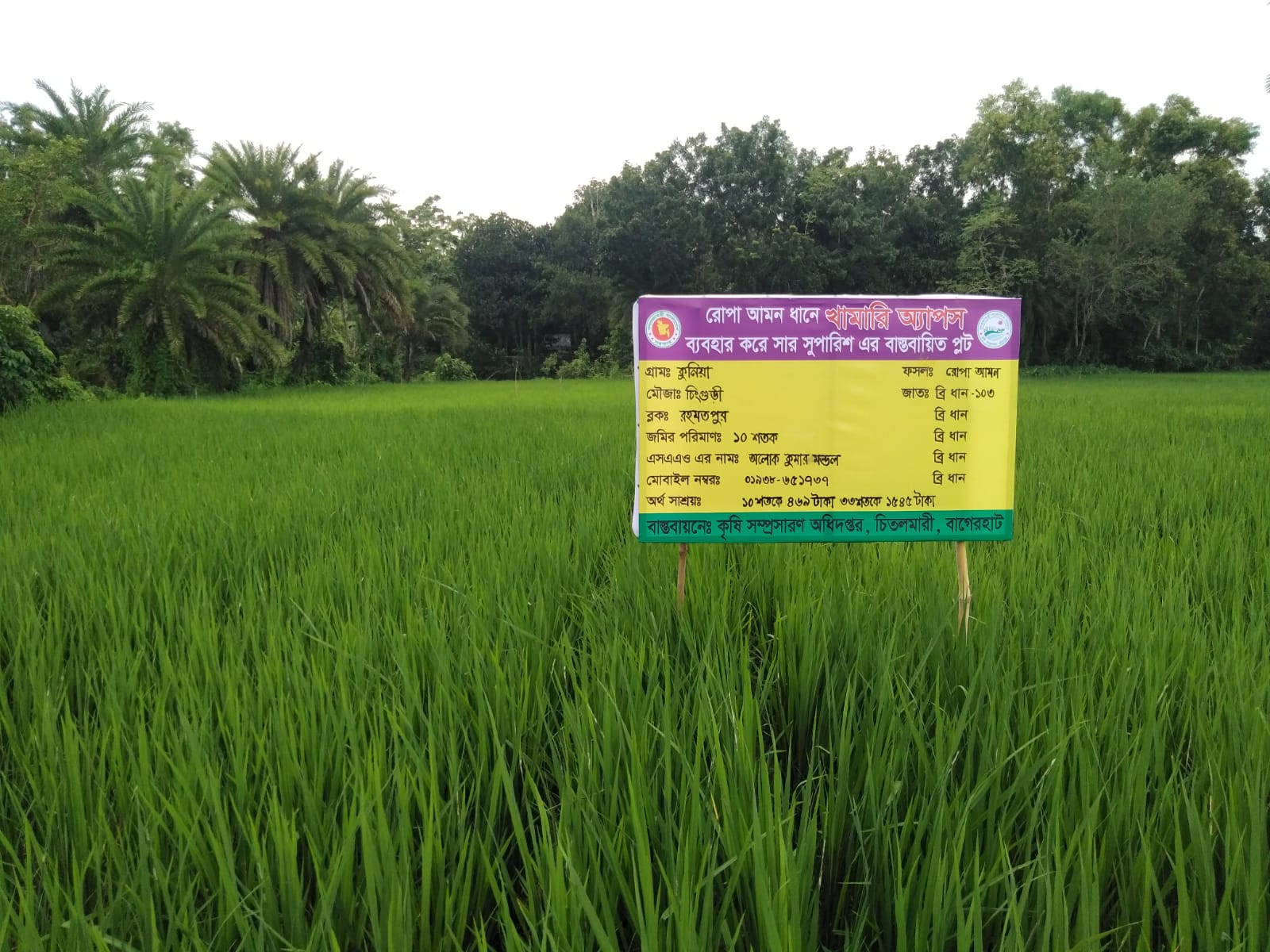 খামাড়ি অ্যাপস অনুযায়ী সার সুপারিশ