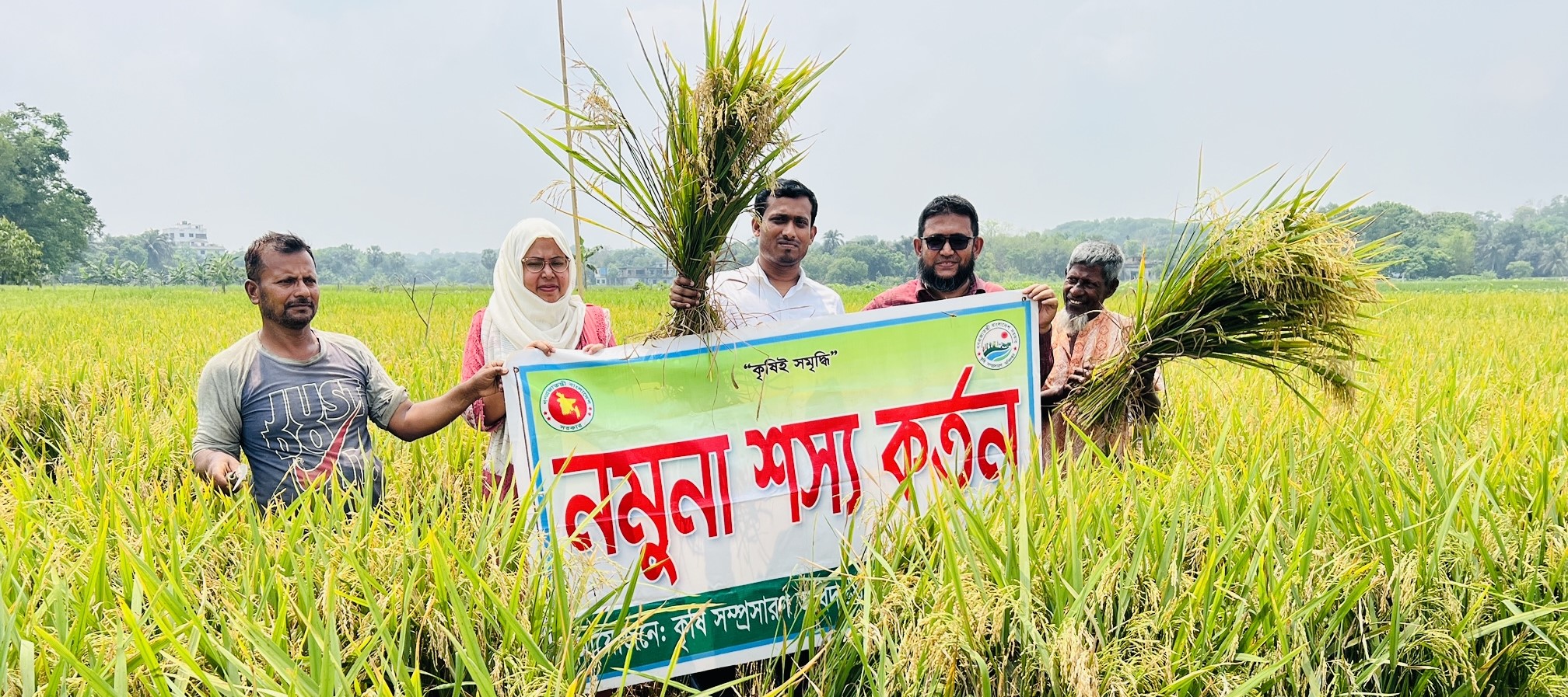 নমুনা শস্য কর্তন
