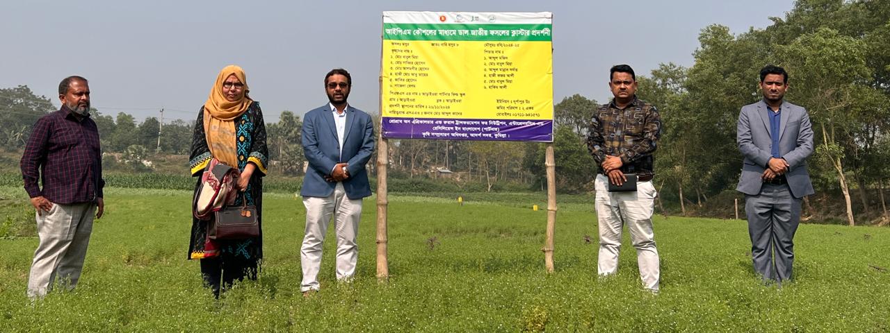 পার্টনার প্রকল্পের আওতায় বাস্তবায়িত আইপিএম কৌশলের মাধ্যমে ডাল জাতীয় ফসলের ক্লাস্টার প্রদর্শনী (বারি মসুর ৮) এর প্রদর্শনী পরিদর্শন