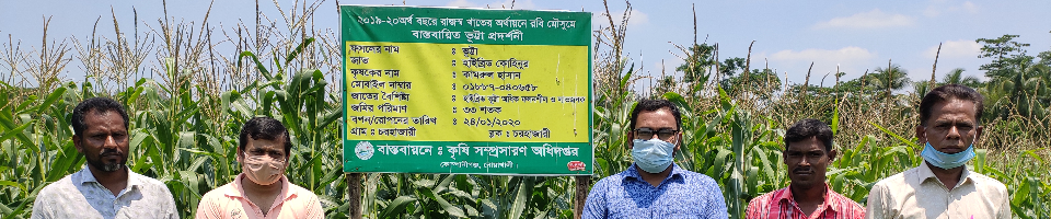 রাজস্ব খাতের ভূটা প্রদর্শনী