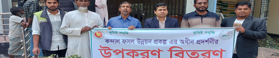 কন্দাল ফসল