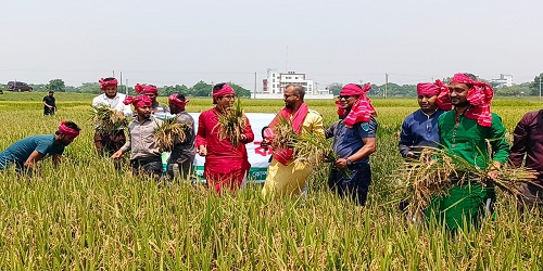 ব্যানার