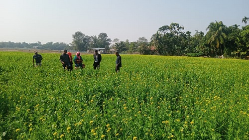 ব্যানার