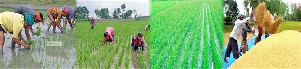 ব্যানার
