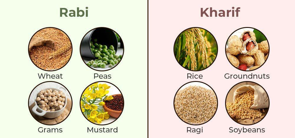 ফসল আবাদ ও উৎপাদন