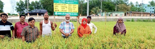 ব্যানার