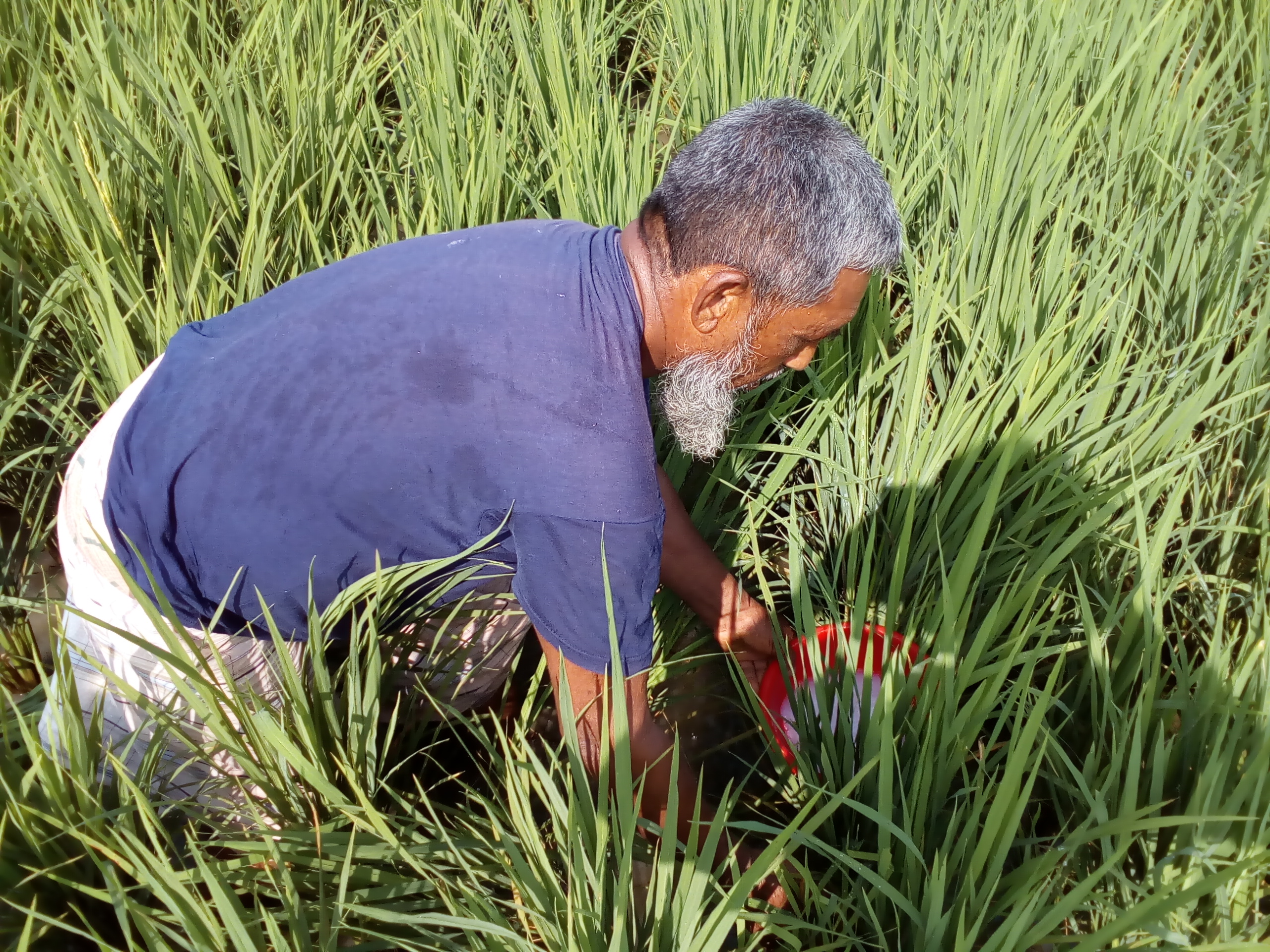 অন্যান্য ছবি