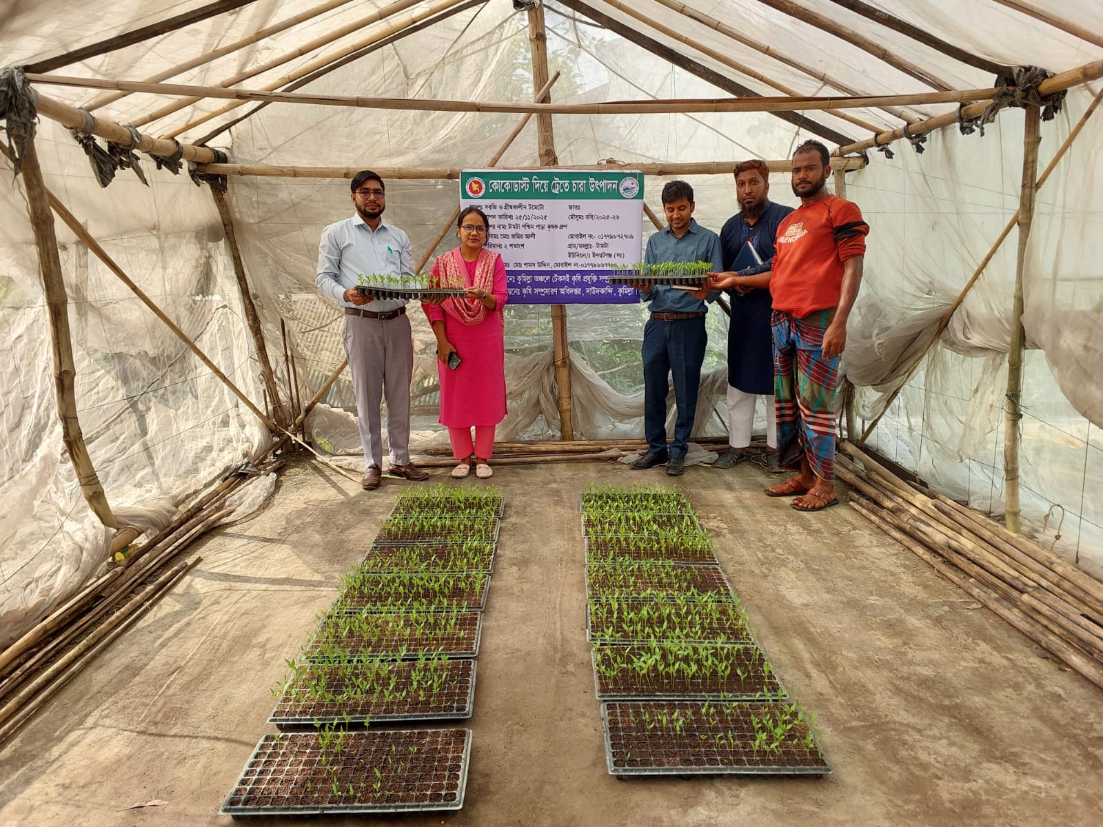 কুমিল্লা অঞ্চলে টেকসই কৃষি প্রযুক্তি সম্প্রসারণ প্রকল্পের আওতায় কোকোডাস্ট দিয়ে ট্রেতে চারা উৎপাদন