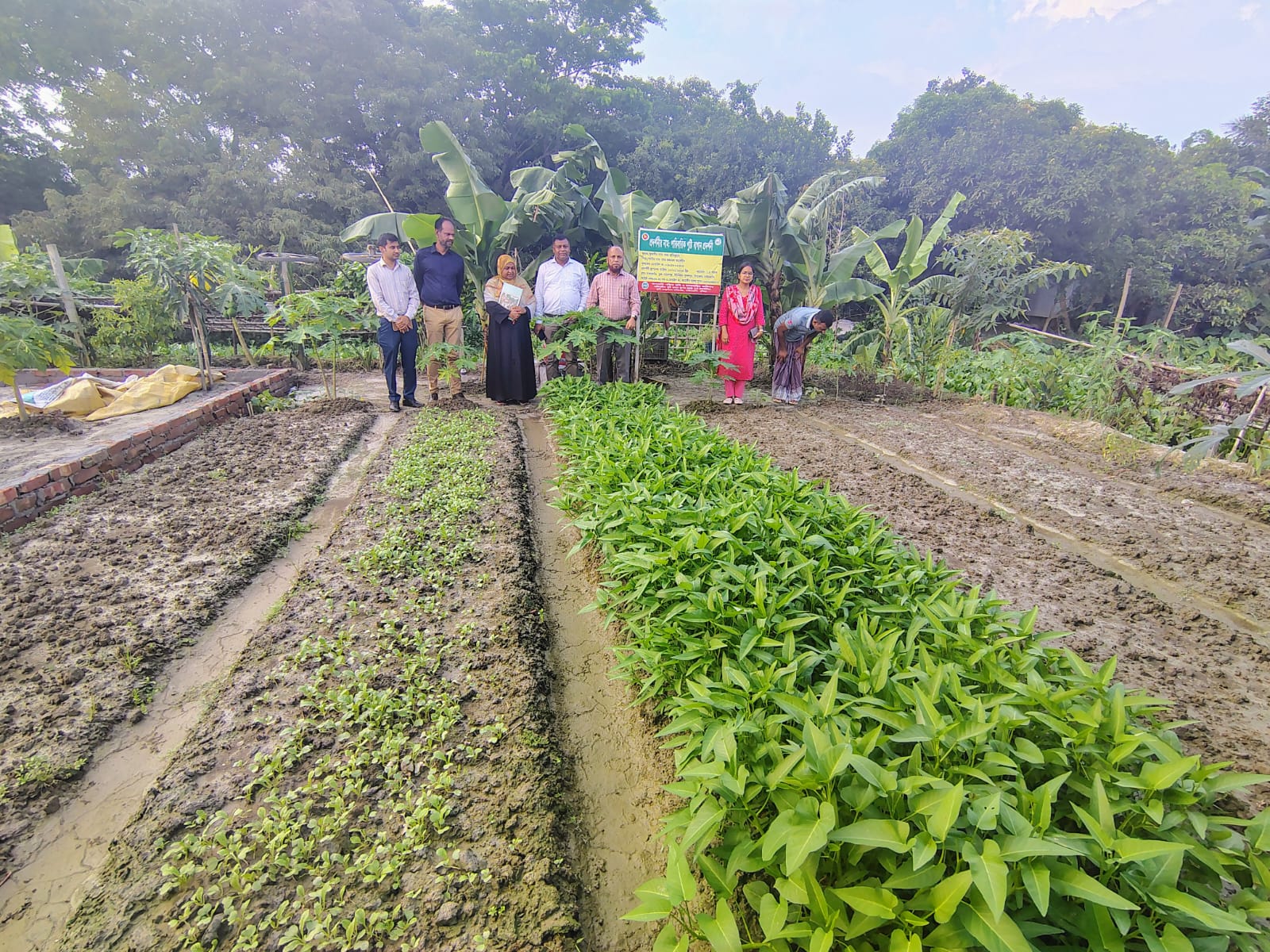 পারিবারিক পুষ্টিবাগান