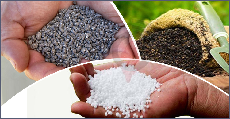 সার ও কীটনাশক ডিলার