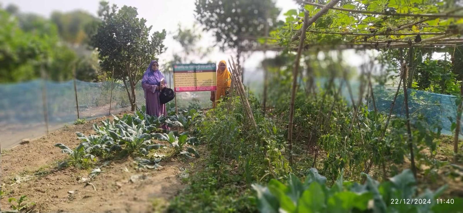 দাউদকান্দি উত্তর