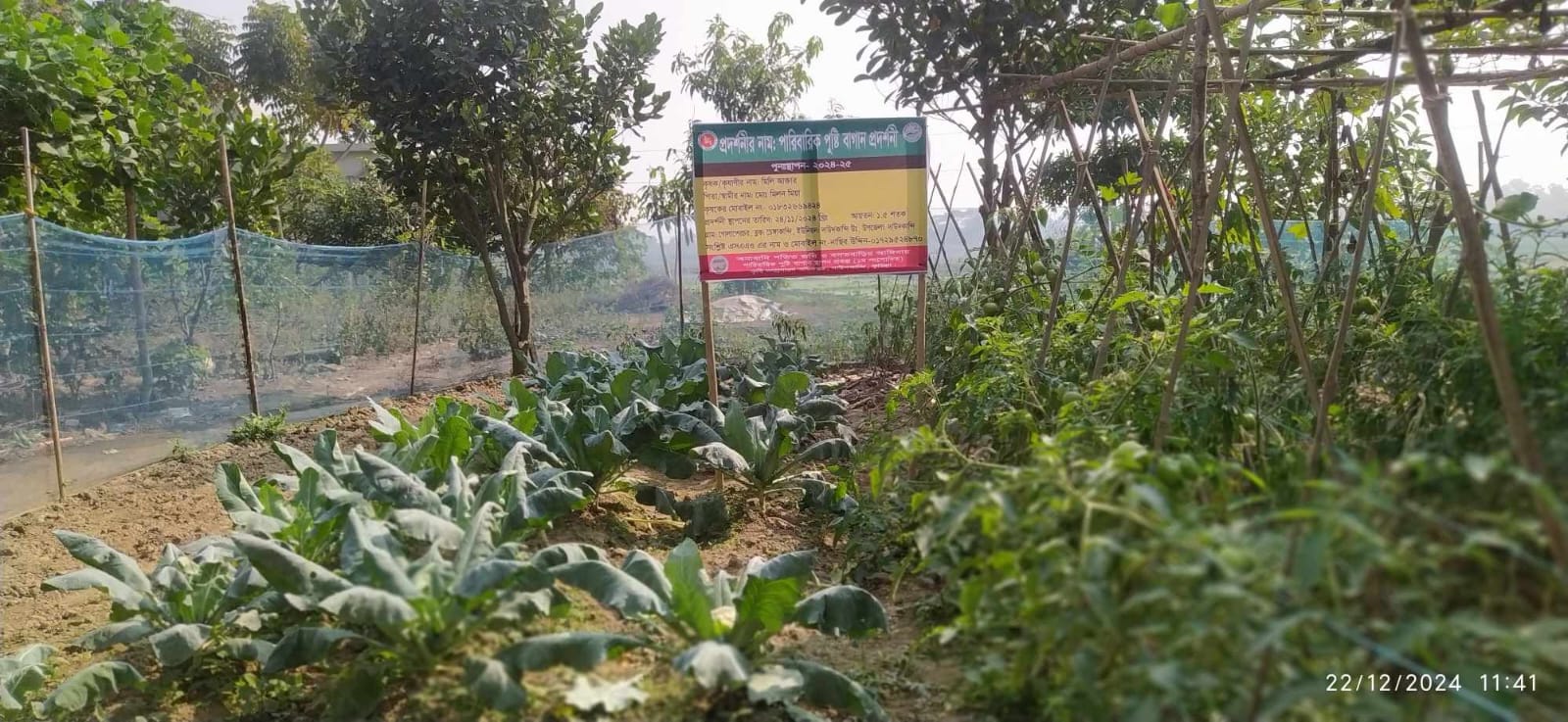 দাউদকান্দি উত্তর (২২/১২/২০২৪)