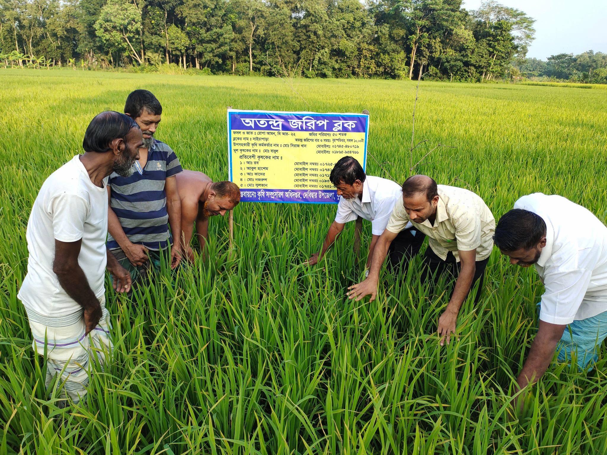 অতন্দ্র জরিপ