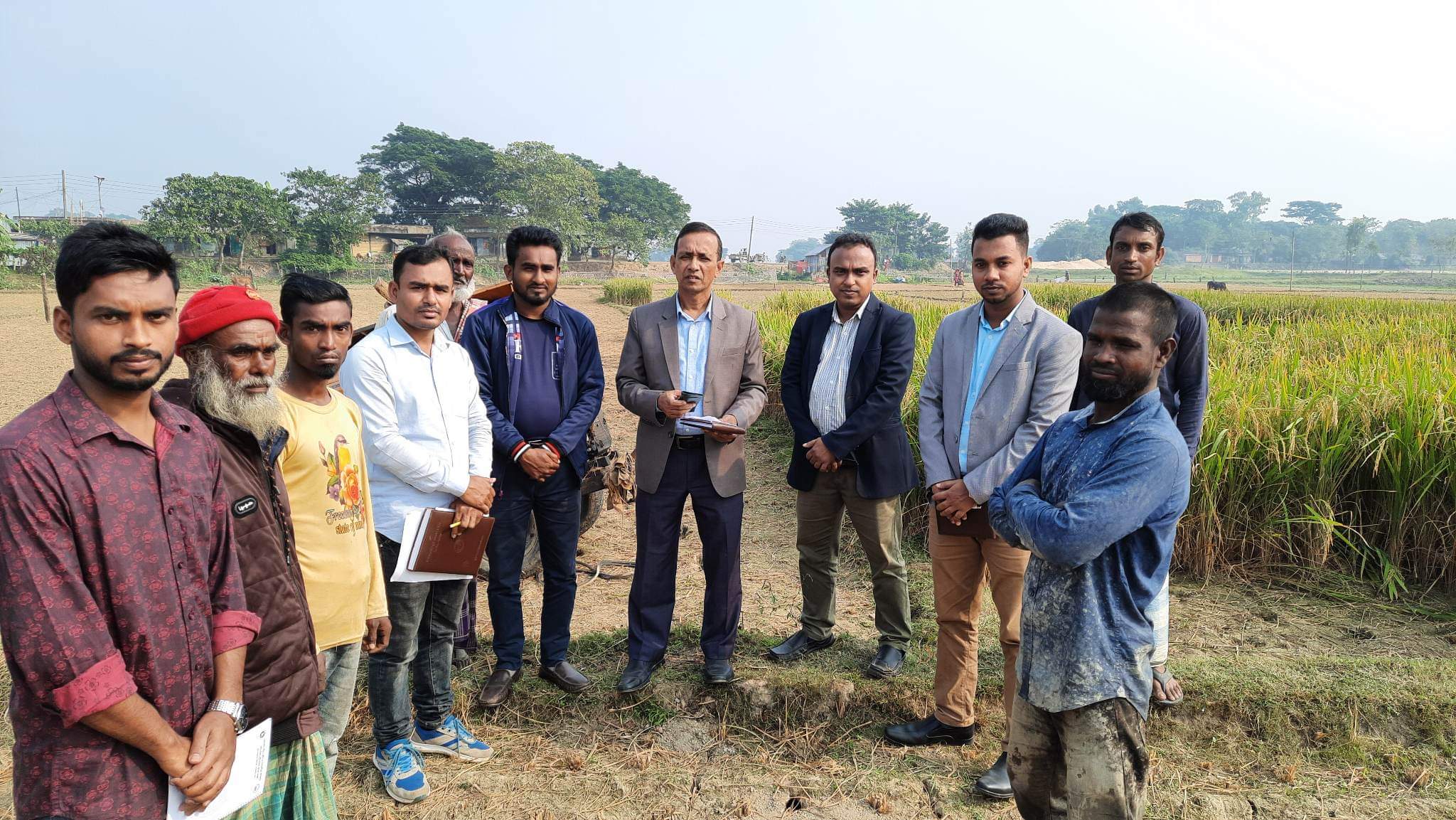 নমুনা ফসল কর্তন