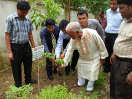 ফলদ বৃক্ষ মেলা২০১৩