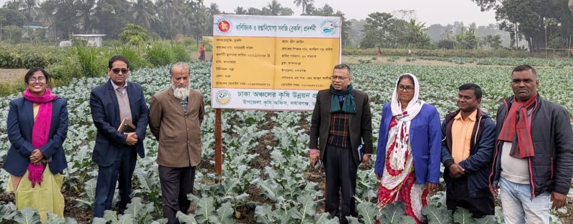 ঢাকা অঞ্চলের কৃষি উন্নয়ন প্রকল্পের বাধা কপি প্রদর্শণী পরিদর্শণ