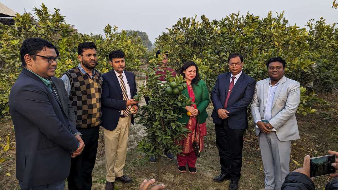 লেবুজাতীয় ফসলের প্রকল্প পরিচালকের মাঠ পরিদর্শন
