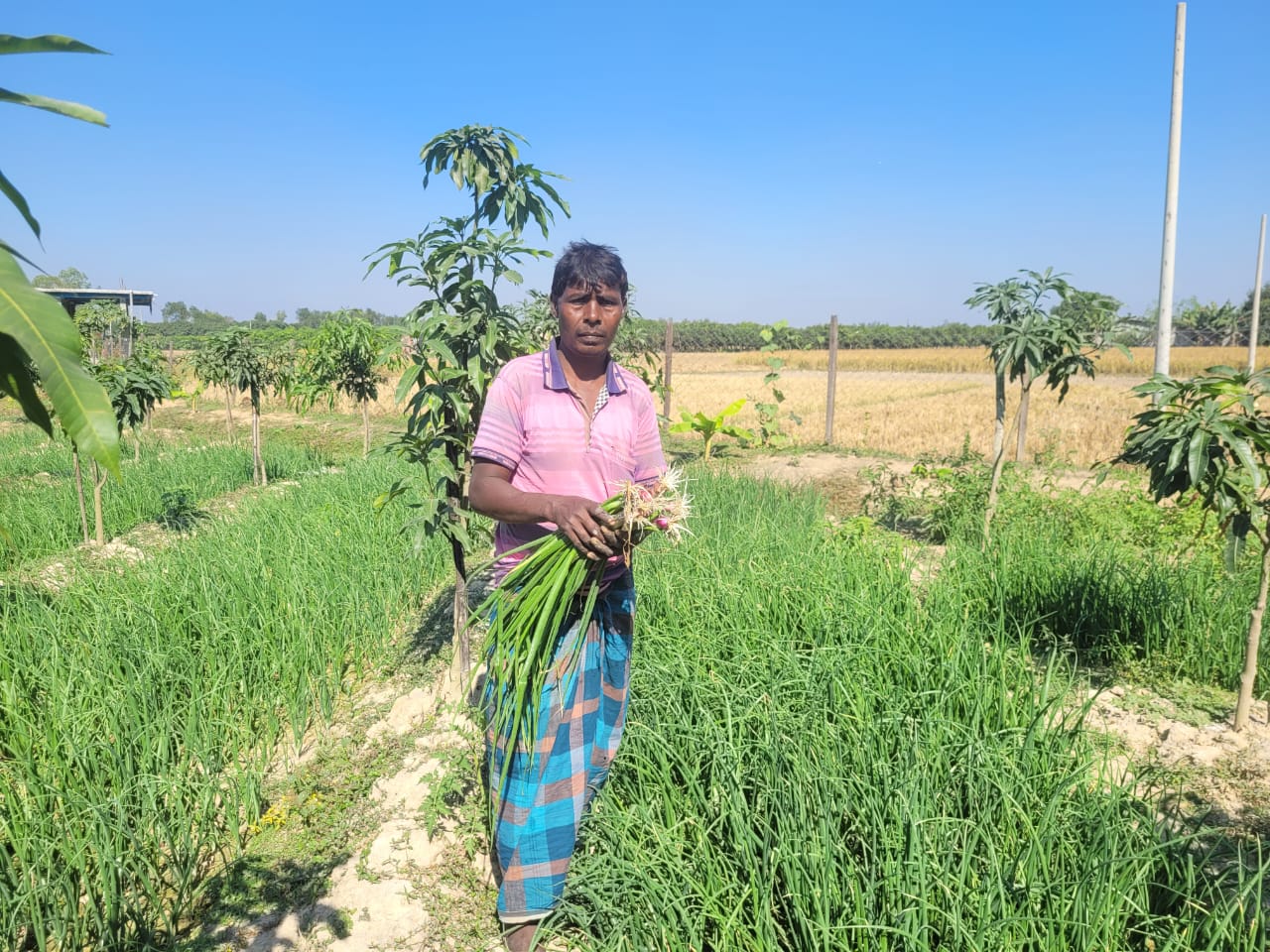 গ্রীষ্মকালীন পেঁয়াজ