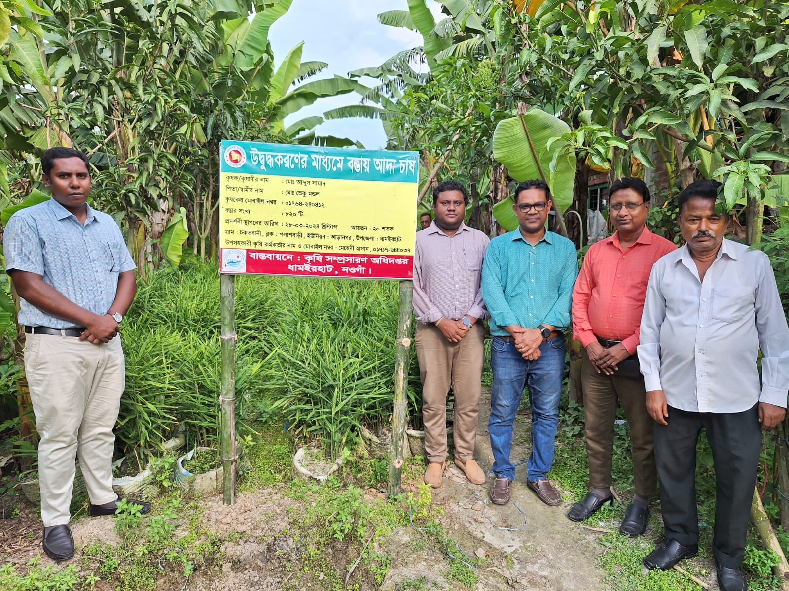 বস্তায় আদা চাষ