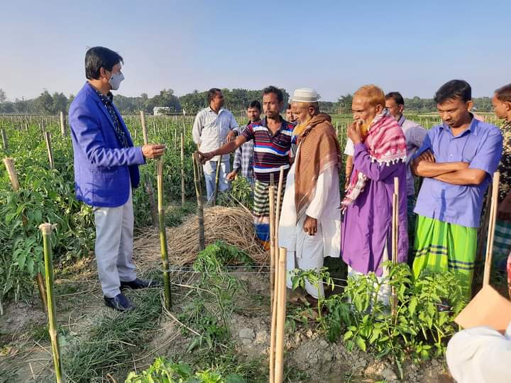 পরামর্শ দিচ্ছেন উপজেলা কৃষি অফিসার ধামরাই ঢাকা