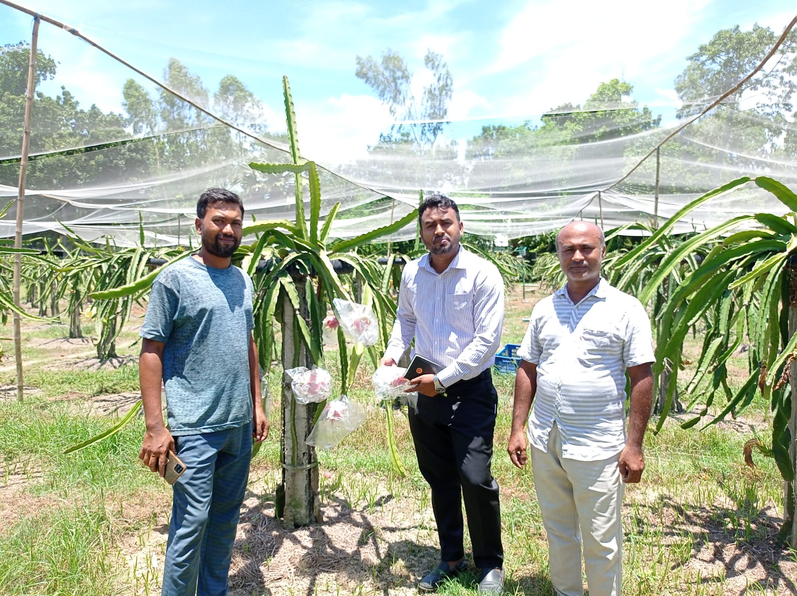 ড্রাগন বাগান