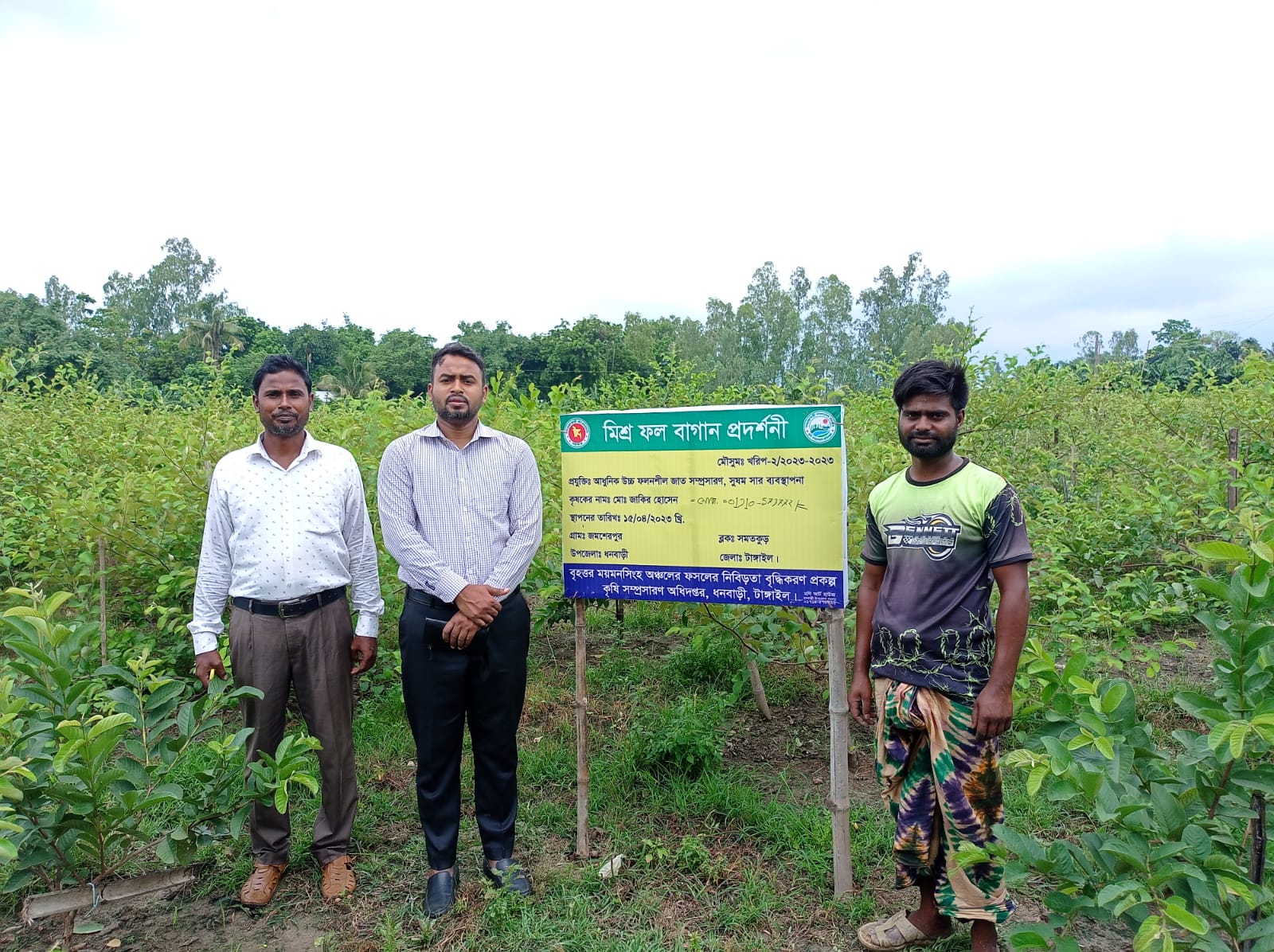 মিশ্র ফল বাগান