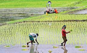 ব্যানার