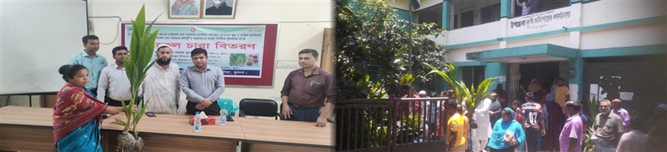 ২০২৩-২৪ অর্থ বছরে প্রনোদনার আওতায় প্রান্তিক কৃষকদের মাঝে নারকেল চারা বিতরন।