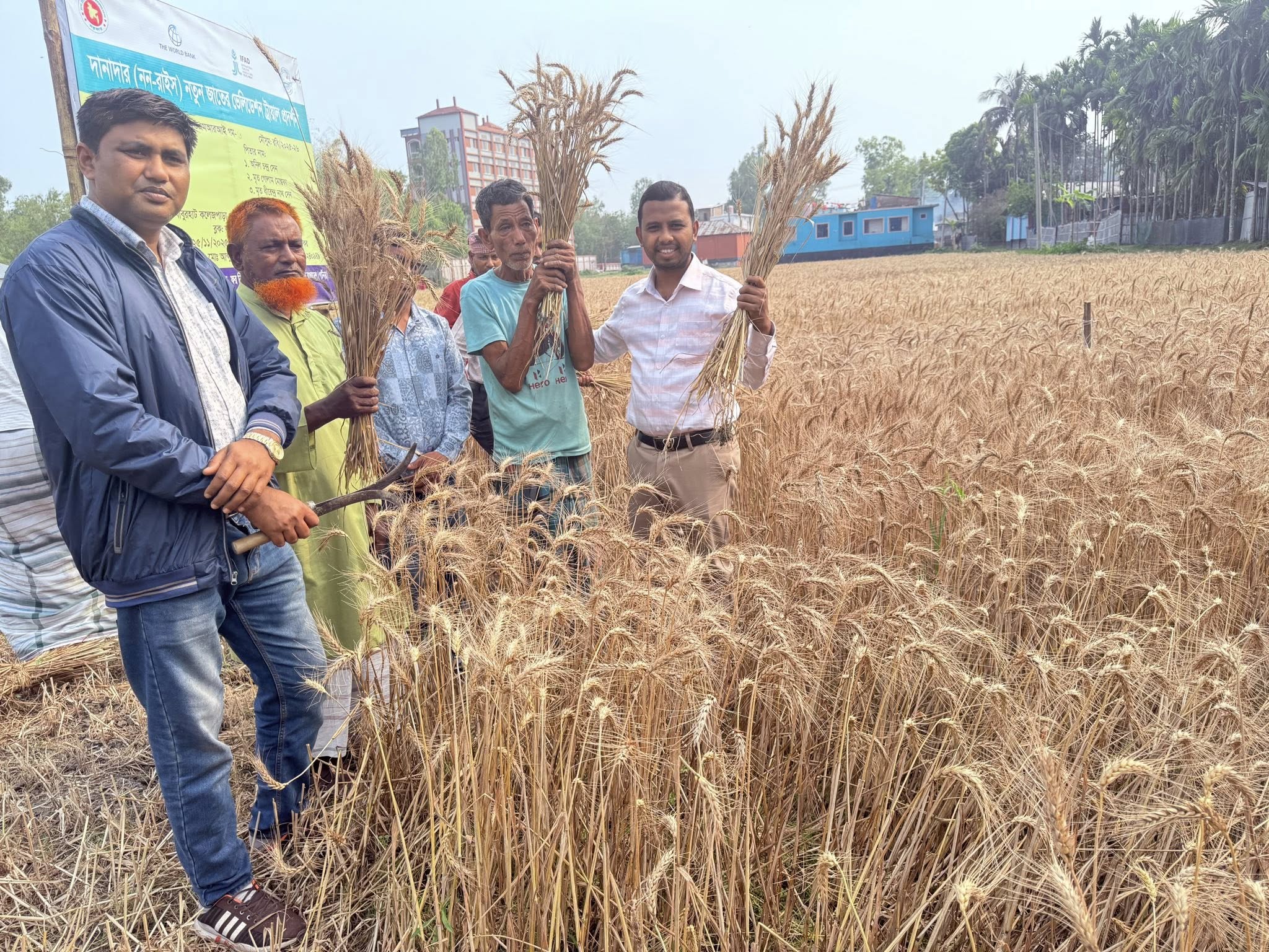 মাঠ দিবস ও উঠান বৈঠক