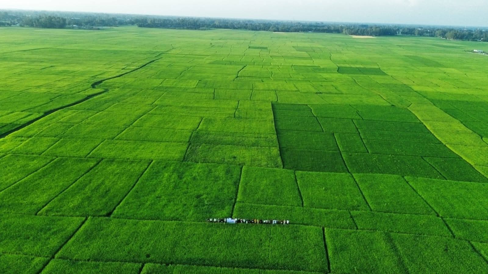 Drone pic