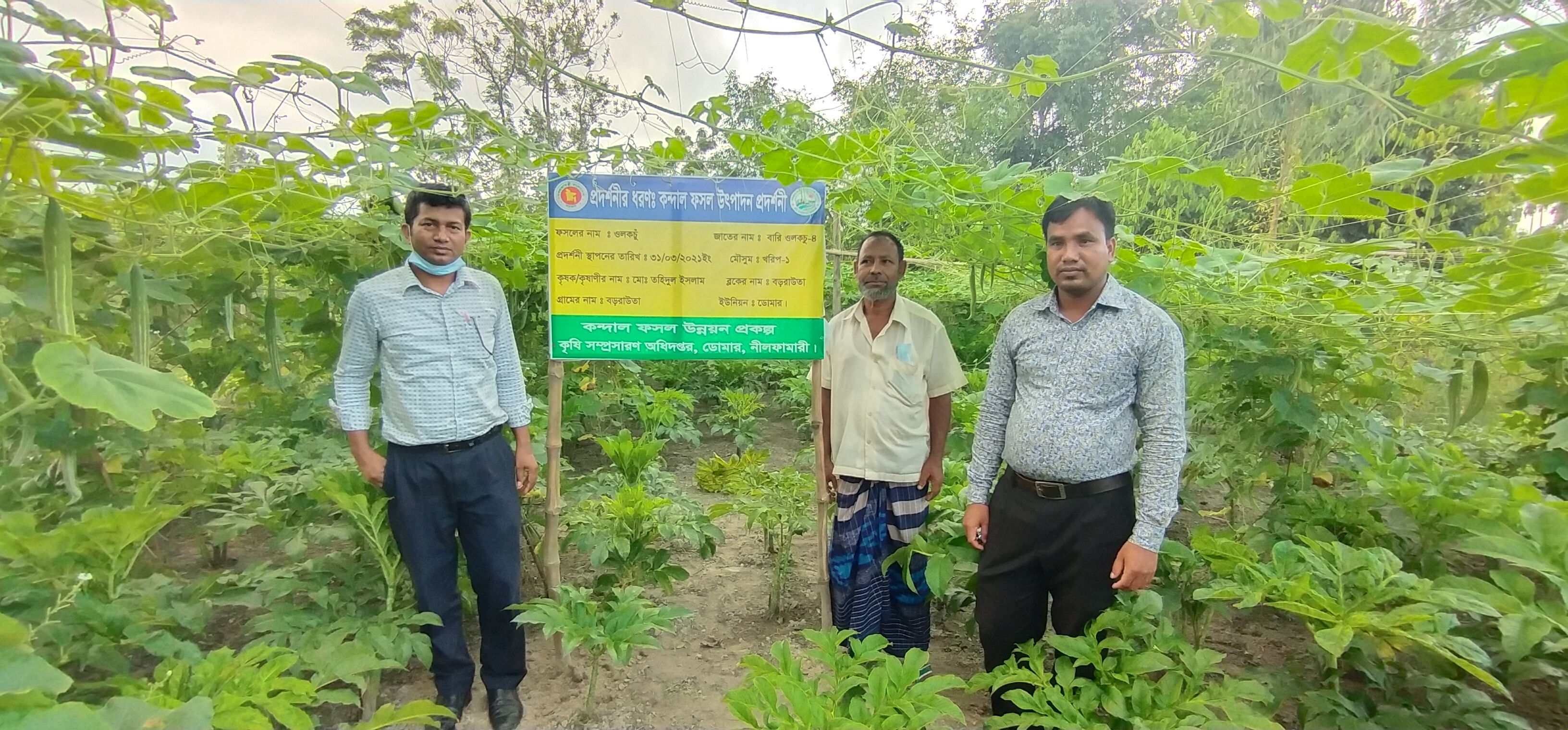 ওলকচুর প্রদর্শনী 