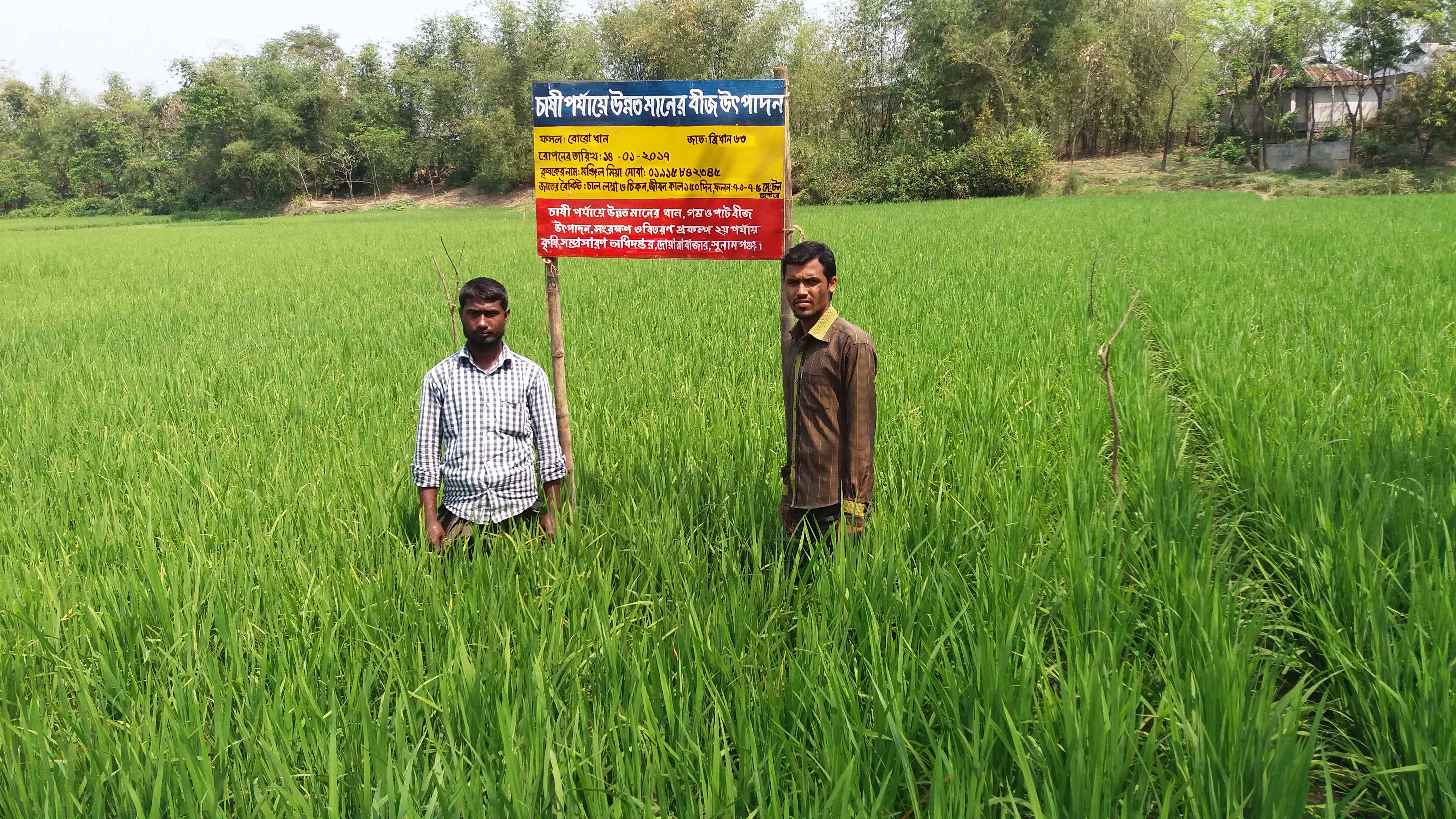 ফটোগ্যালারি