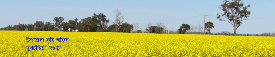 অফিস ছবি