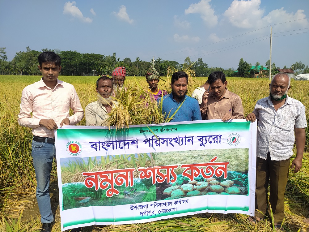 শস্য কর্তন