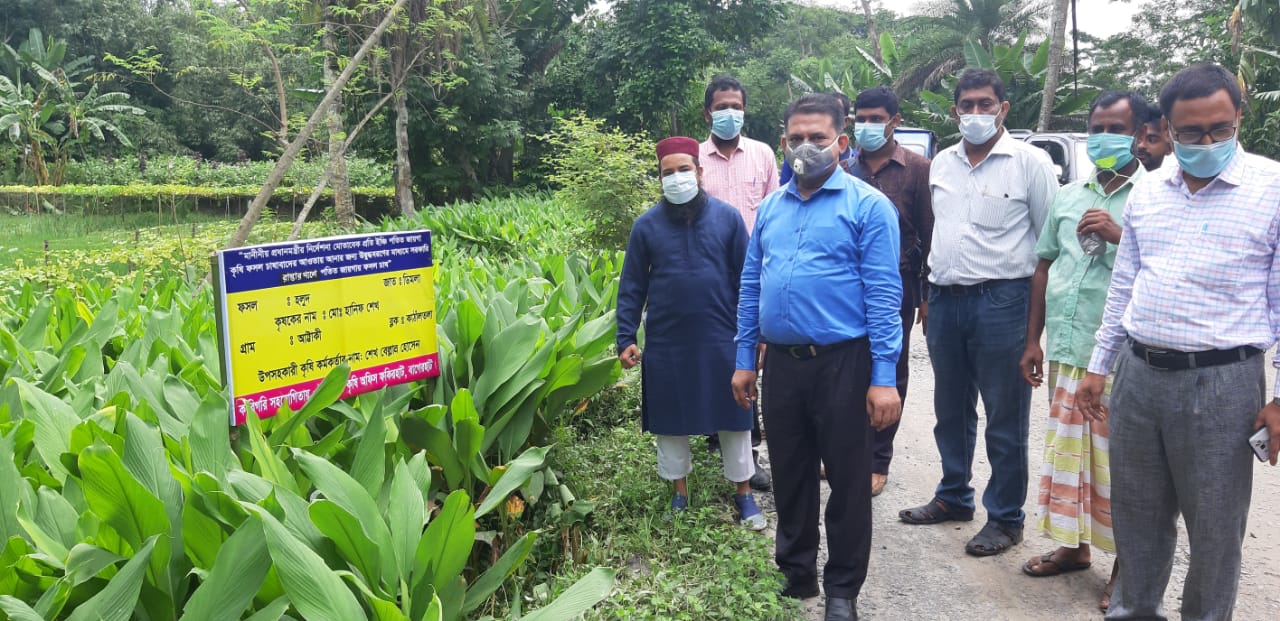 Service Process Simplification