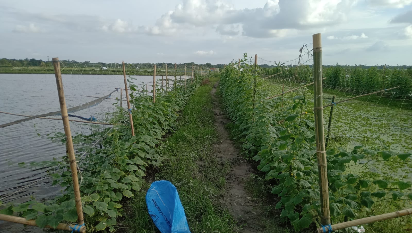 প্রদর্শনী
