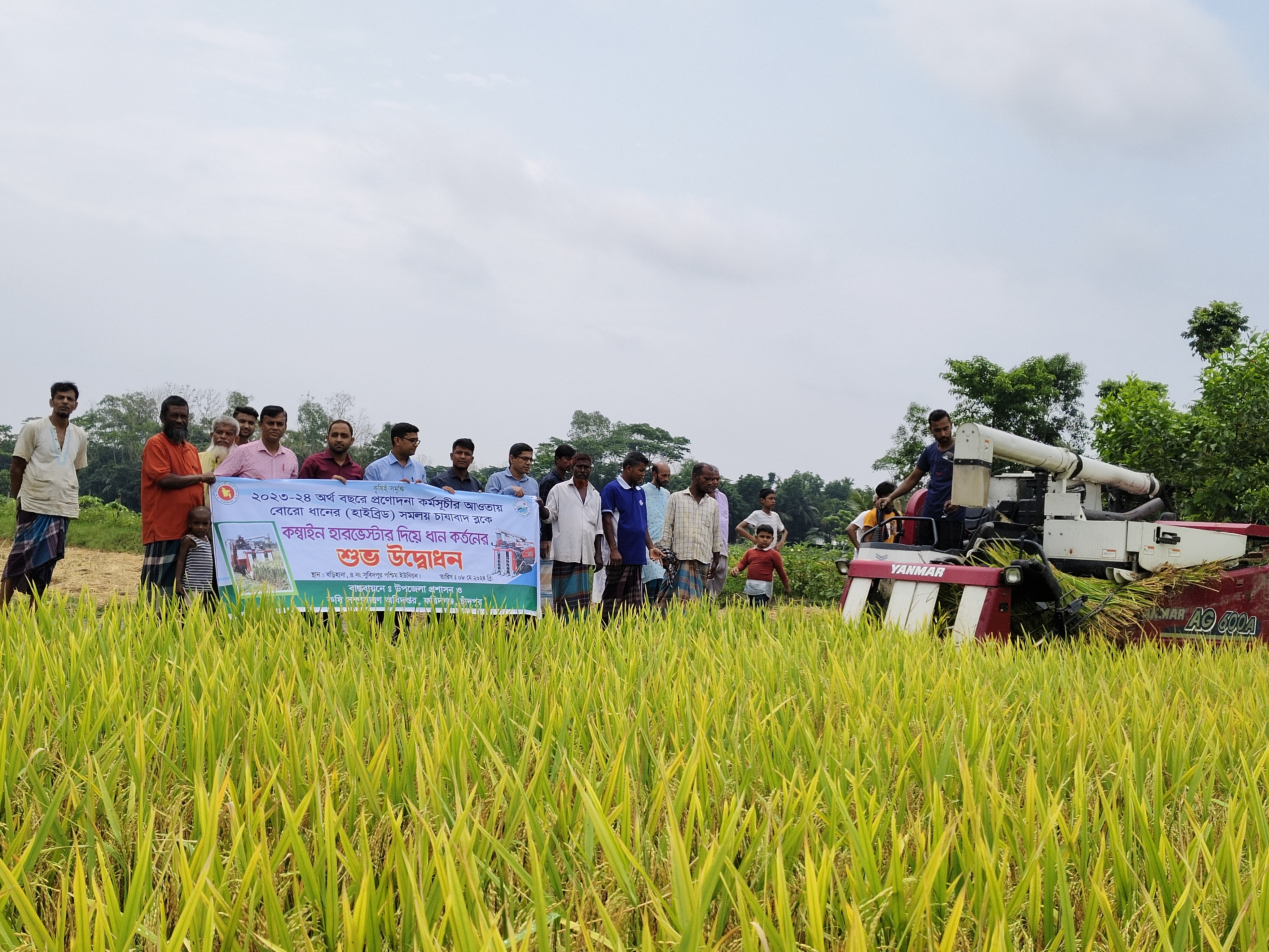 কম্বাইন হারভেস্টারে প্রণোদনার সমলয়ের ধান কর্তন