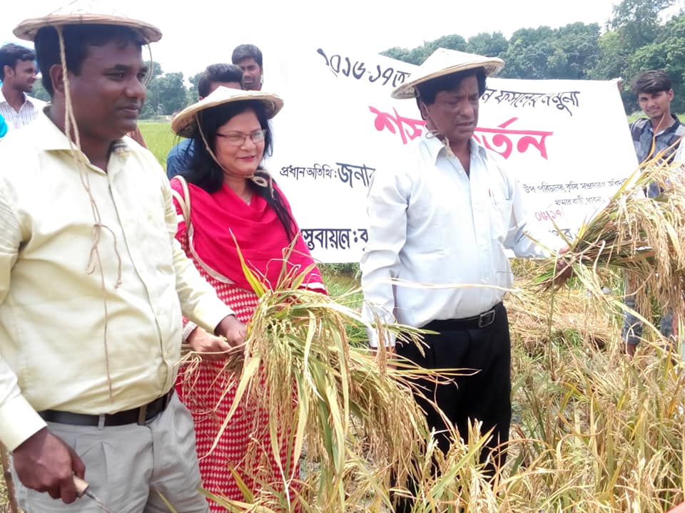 মাঠ পরিদর্শন