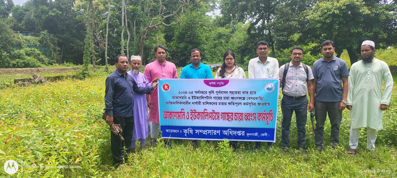 ফুলগাজী উপজেলায় আকাশমণি এবং ইউক্যালিপটাস চারা ধ্বংসকরণ কার্যক্রম